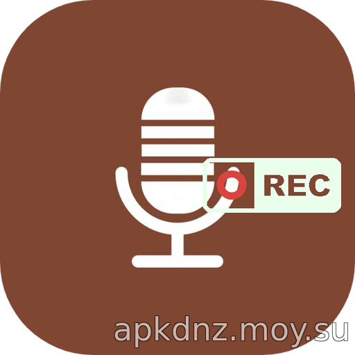 Internal Audio Recorder Sound